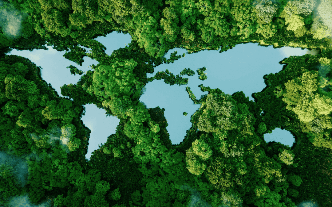 Valutazione d’azienda: perché è cruciale per il tuo business