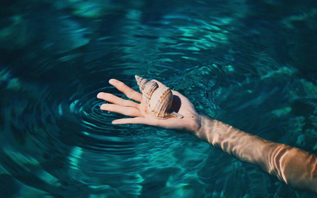 Trasformazione agevolata in Società Semplice