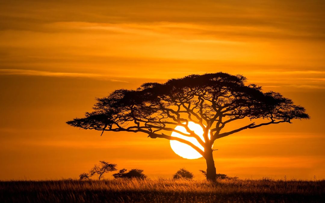 Come funziona il Trust? Protezione patrimoniale e vantaggi