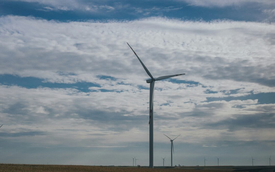 Riorganizzazione Gruppo Industriale: Controllo | Caso Reale